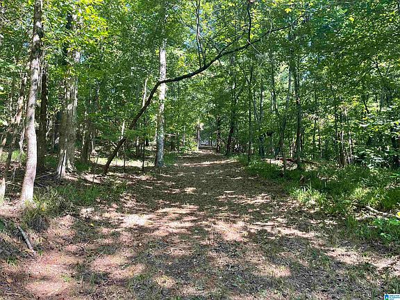 5th image of 2985 Paradise Pkwy #1
