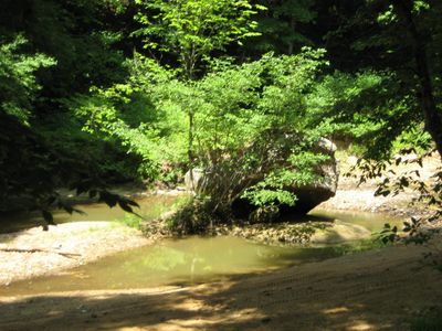 1200 Ky #397, Jackson, KY, 41339