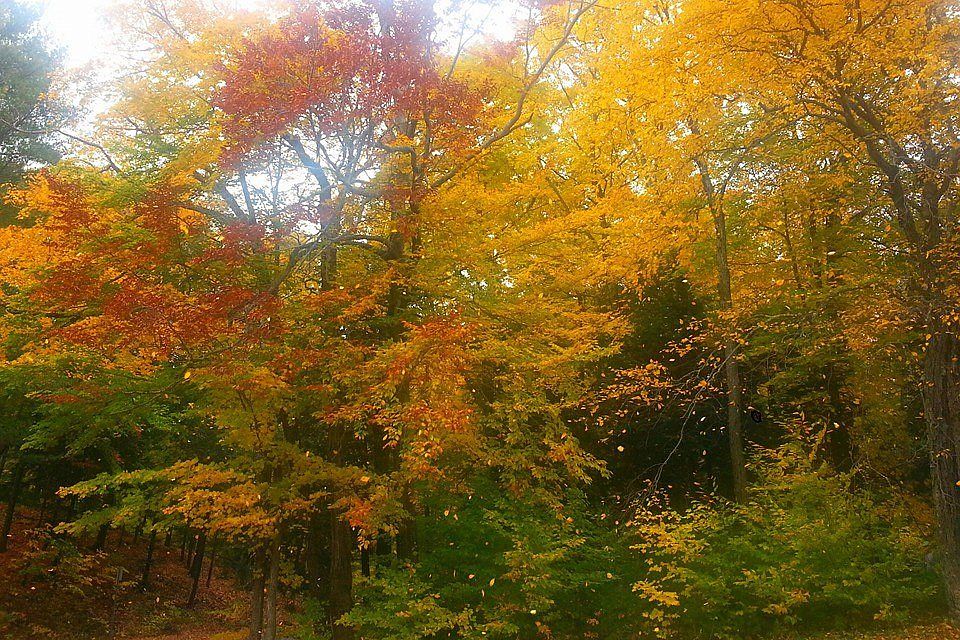 fall beauty