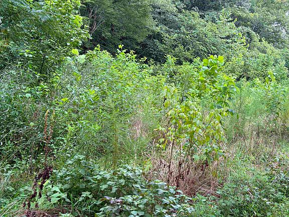 5th image of 40 Edmonds Hollow Rd