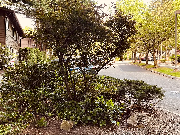 540 Front St S #2 — Photo 35