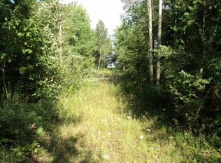 N Ridge Rd, Black river, MI 48721