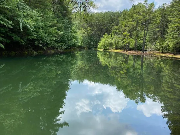 678 Griffith Rd #1, Pikeville, TN 37367