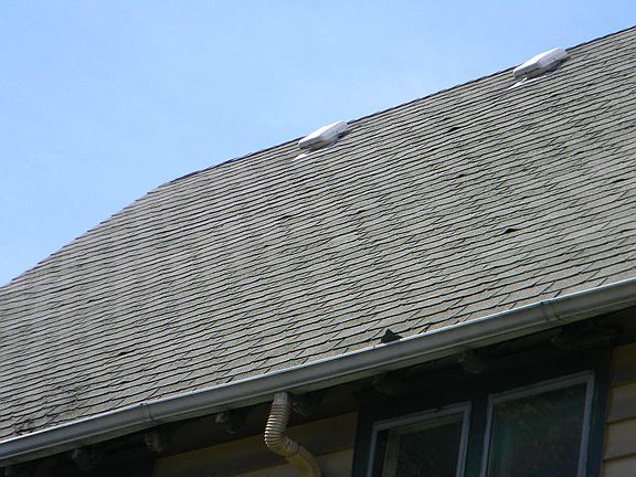 5th image of 3349 N Palmer St