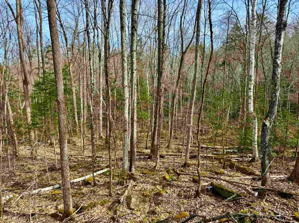 0 Skiway Terrace, Haverhill, NH 03774