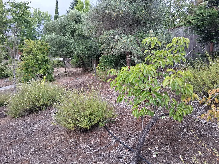 1457 Nighthawk Pl — Photo 15