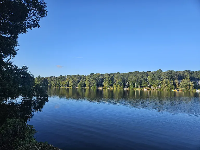 Lakefront view from backyard