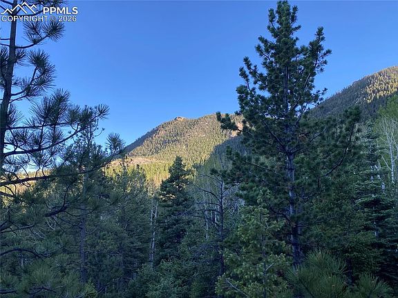 5th image of 285 Forest Rd