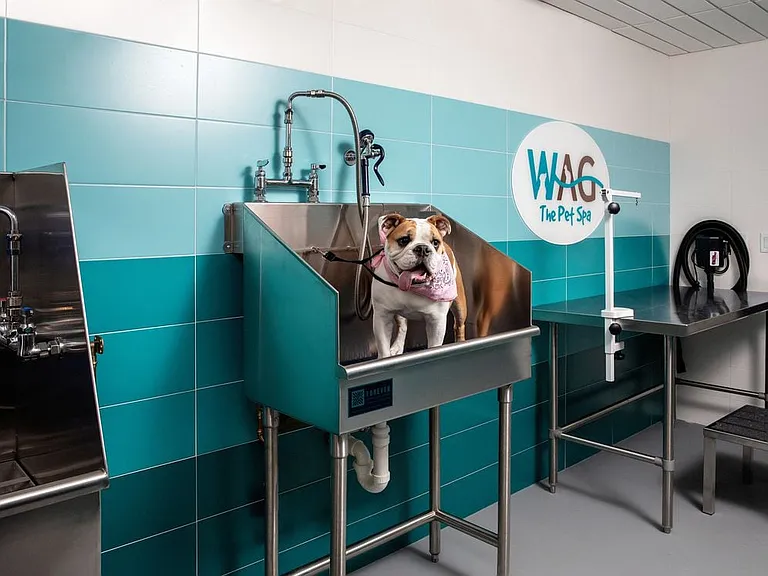 WAG Pet spa