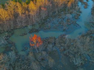 County Road 19, Piedmont, AL 36272