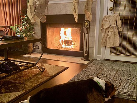 Wood-burning fire place in the living room