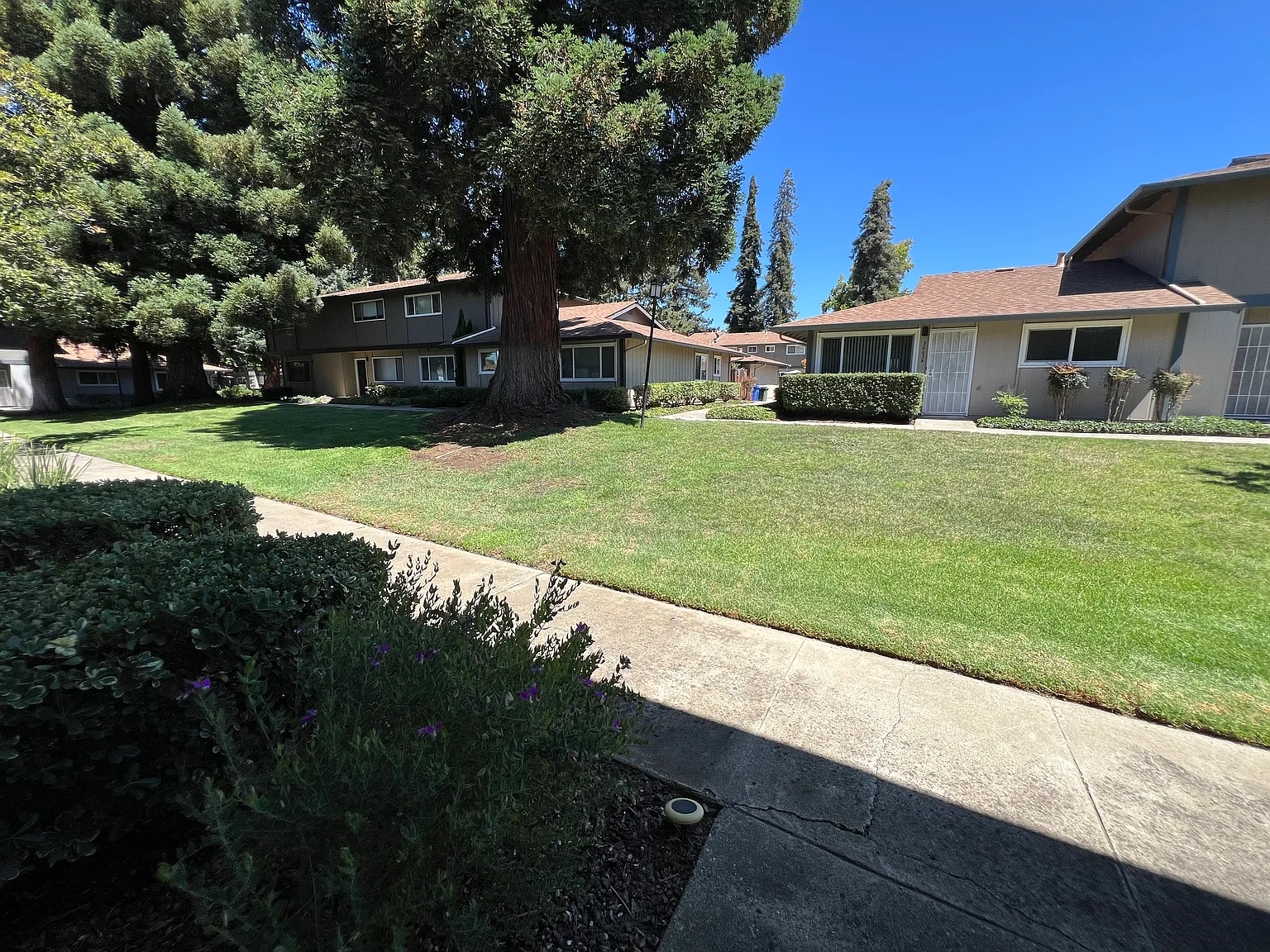 3706 Oxford Cmn — Photo 4