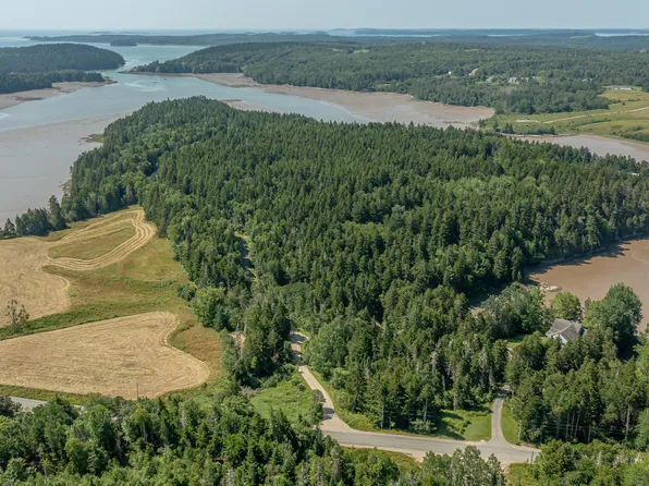 Lot #11 Holway point Road, Machias, ME 04654
