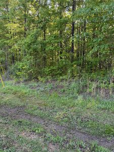 0 Big Tree Rd, Beebe, AR, 72012