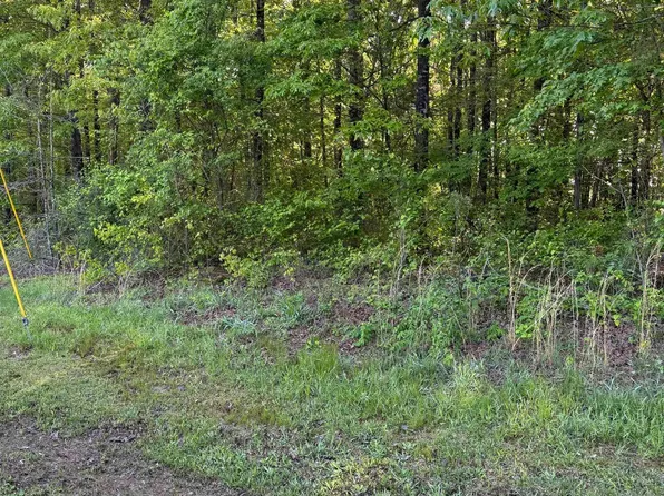 0 Big Tree Rd, Beebe, AR 72012