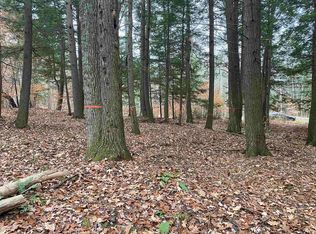 890 Baker Turn #2092, Quechee, VT 05059