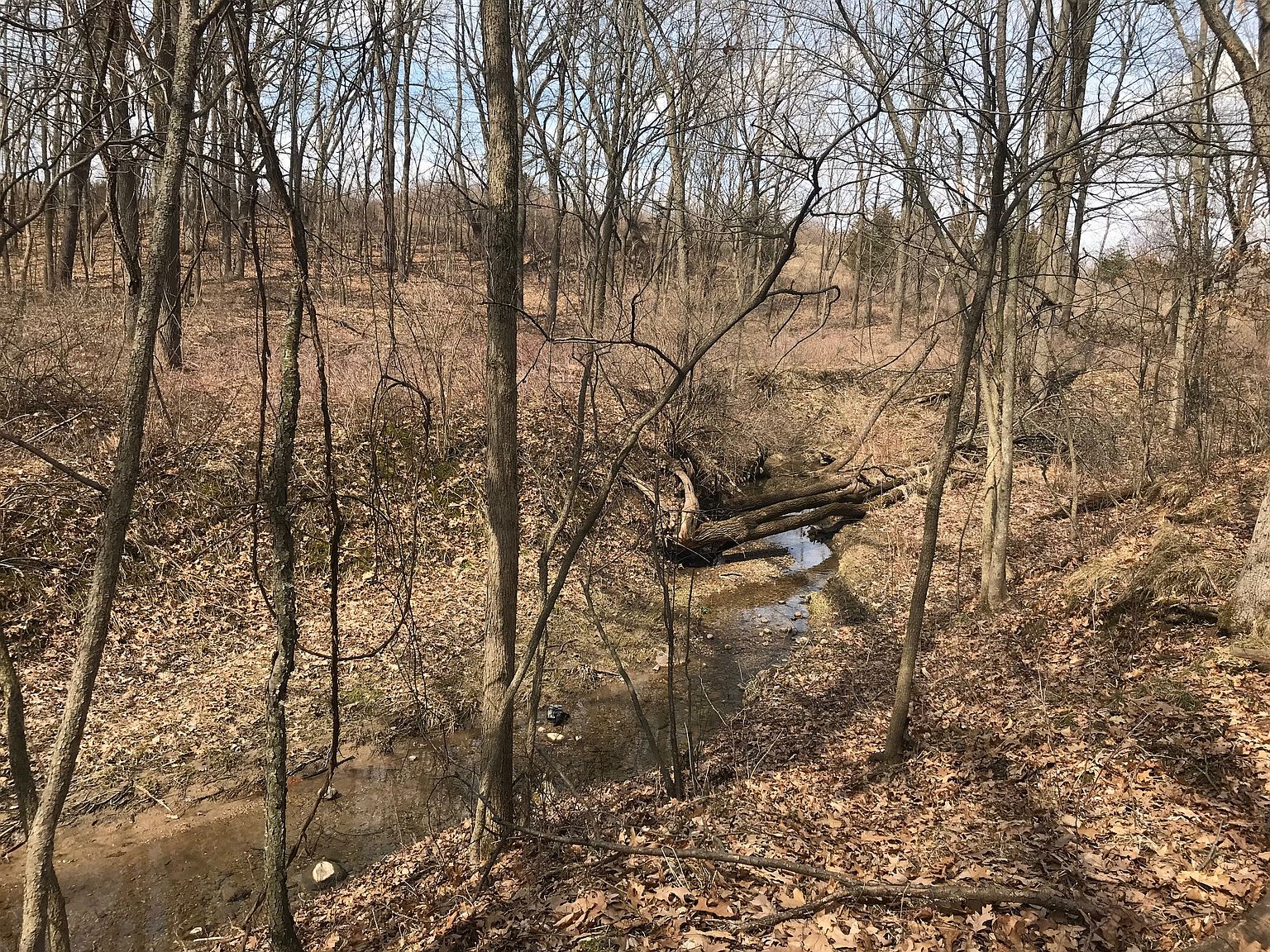 1387 Struble Rd, Muir, MI 48860 Zillow