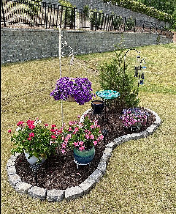 Backyard Garden