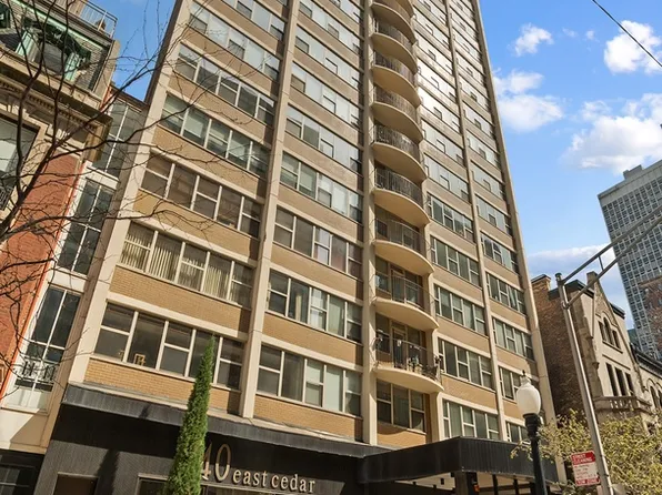 40 E Cedar St APT 18A, Chicago, IL 60611