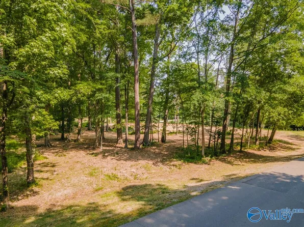 Xx Cherokee Ridge Dr, Union Grove, AL 35175