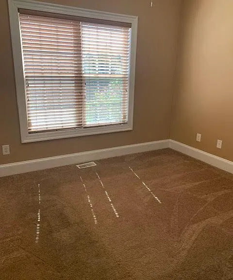 1113 Abby Dr — Photo 14