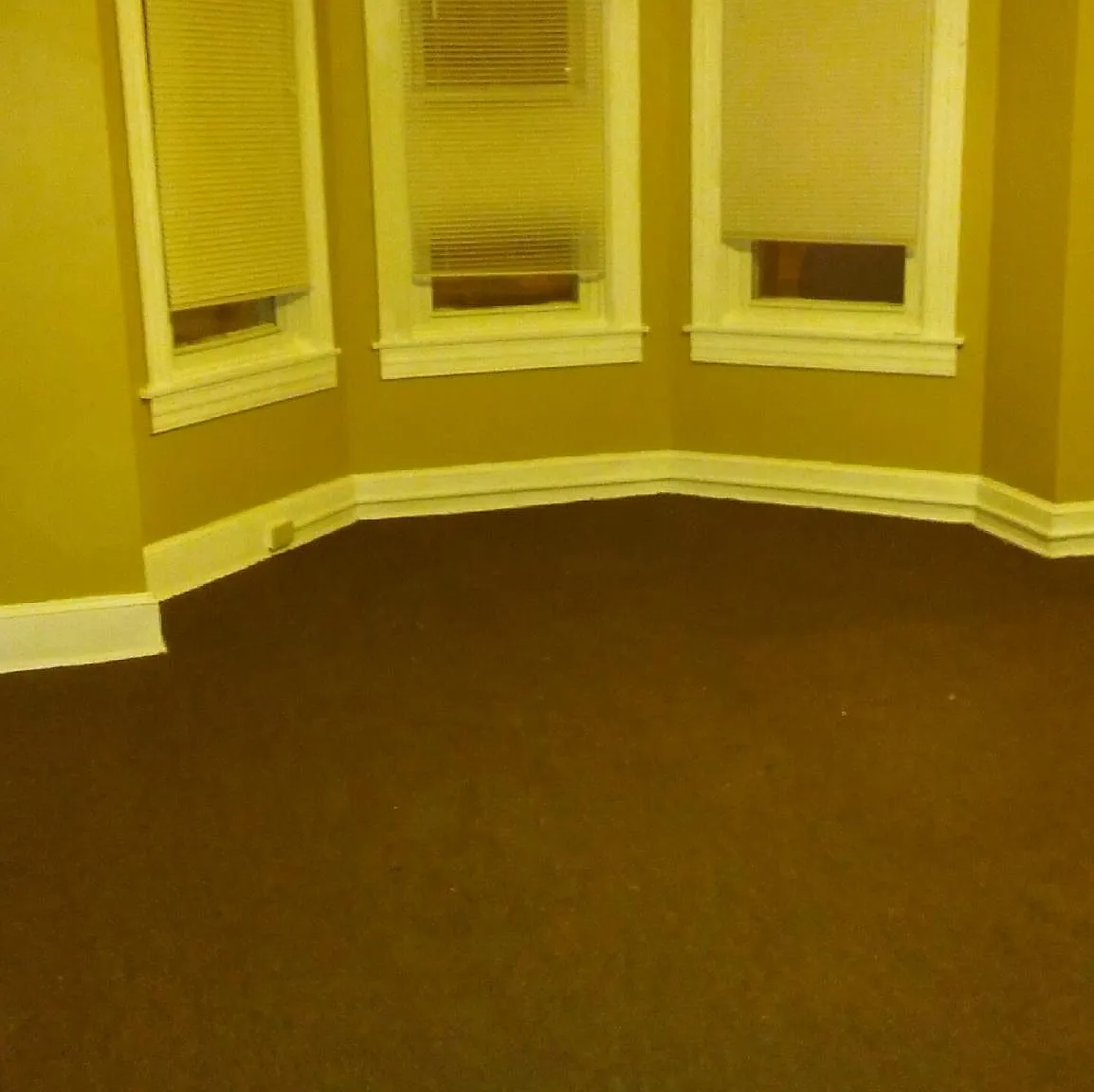 1 bed, $870 — Photo 1
