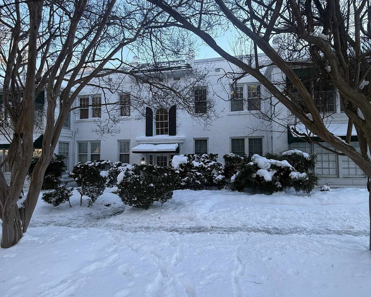 1 bed, 781 sqft, $1,995 — Photo 1