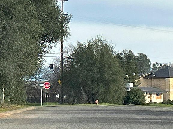 4th image of 1047 Valli Ct