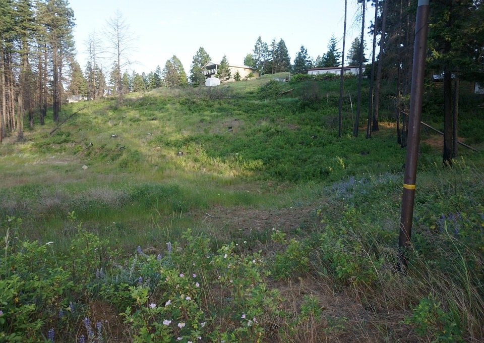 1st image of 750 Morrison Canyon Ln