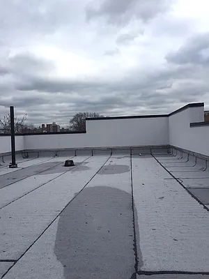 Rented by P Management | media 21