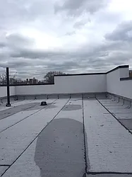 Rented by P Management