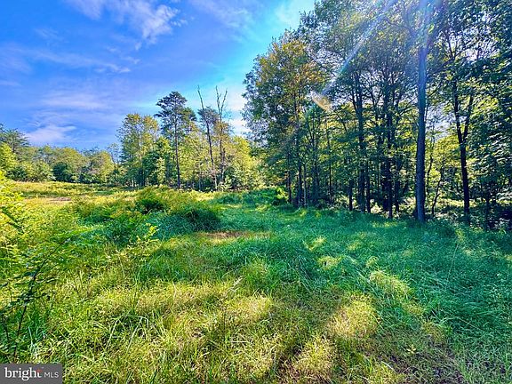 2nd image of 2 Paradise Rd