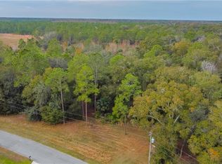 8349 Spring Forest Ln, Wesley Chapel, FL 33544