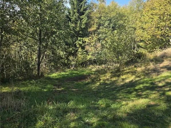 0 2500 Road, Toutle, WA 98649