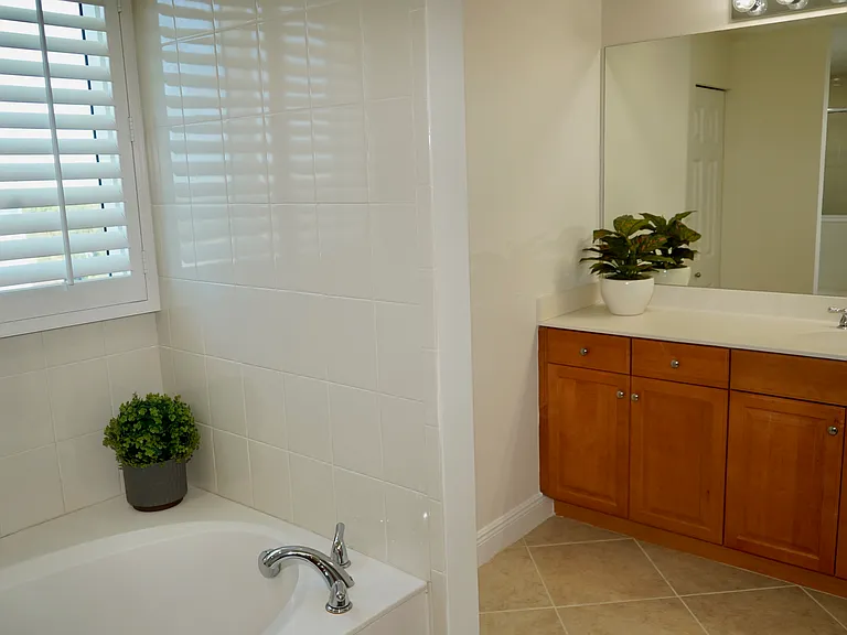 Master bath