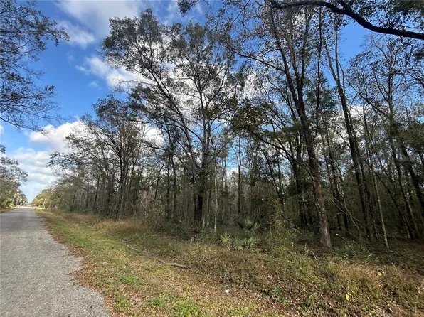 10040 McMahon Ave, Hastings, FL 32145