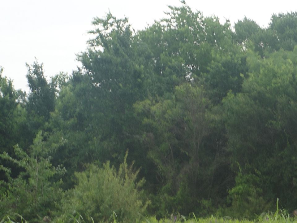 1st image of Lot 1 Block 60