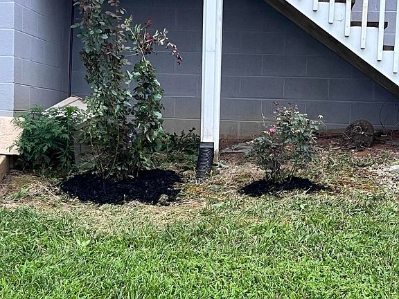 4th image of 164 Sandy Cir