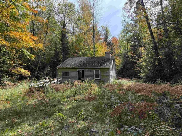 3350 E Moorestown Rd, Lake City, MI 49651