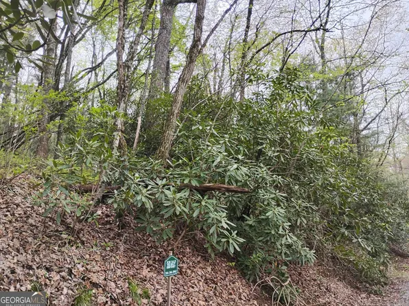 0 Rebel Cir Lot 39, Dillard, GA 30537
