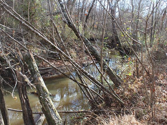 5th image of 47 Acres On Cr45 Tuskegee
