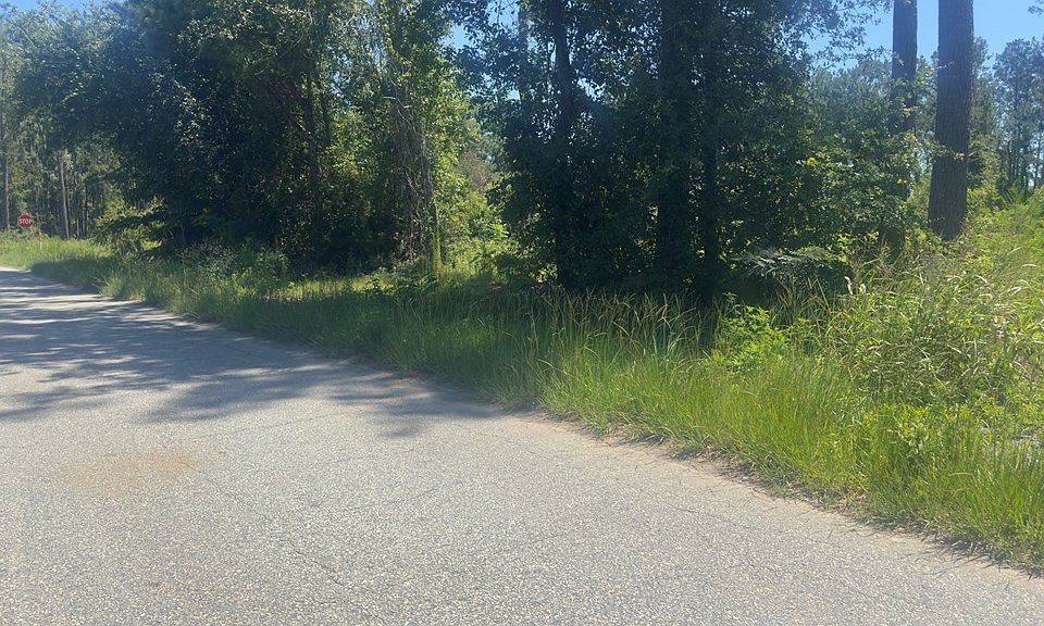 2nd image of 0 Johnson Rd S