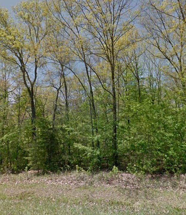 2nd image of 128 Staffordshire Ln