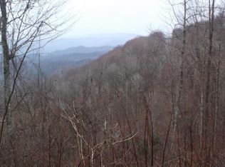 1382 Walnut Mountain Rd, Roan Mountain, TN 37687