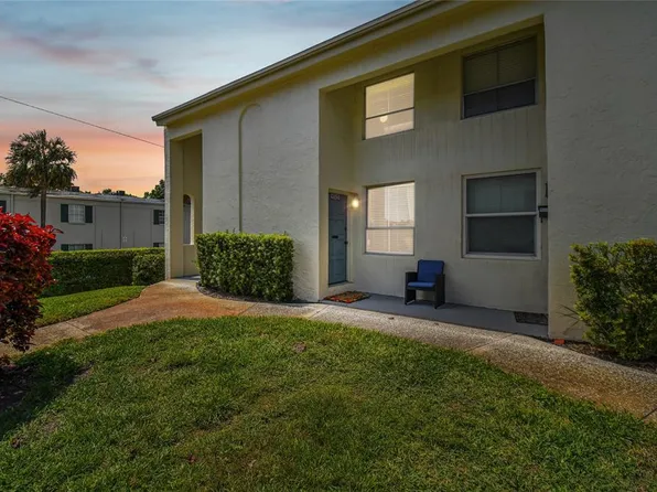 4525 La Capri Ct, Tampa, FL 33611