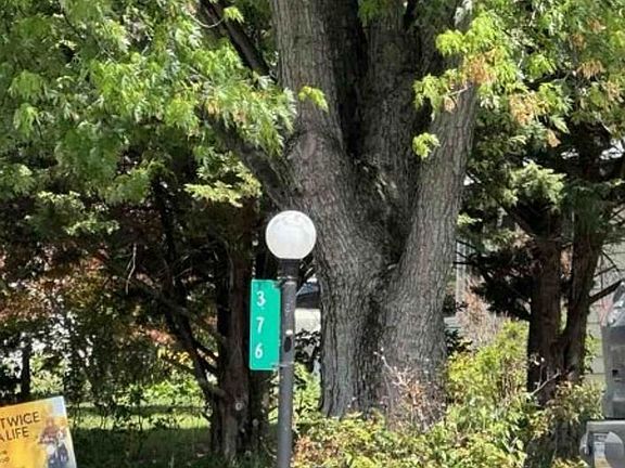 Exterior Address Verification