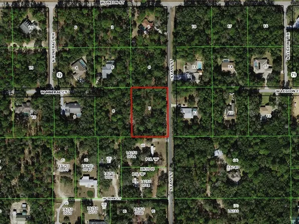 12 S Easy St, Lecanto, FL 34461