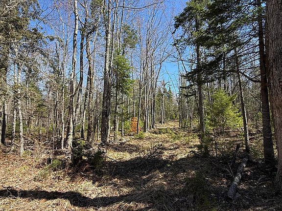 5th image of Lot 016-2 142 Old Fisher Rd Road