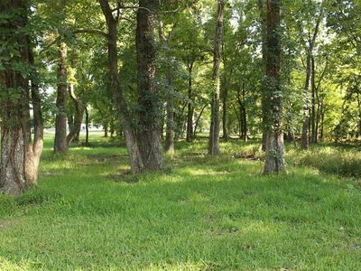 11 (lot) Thornton St, Trinity, TX, 75862