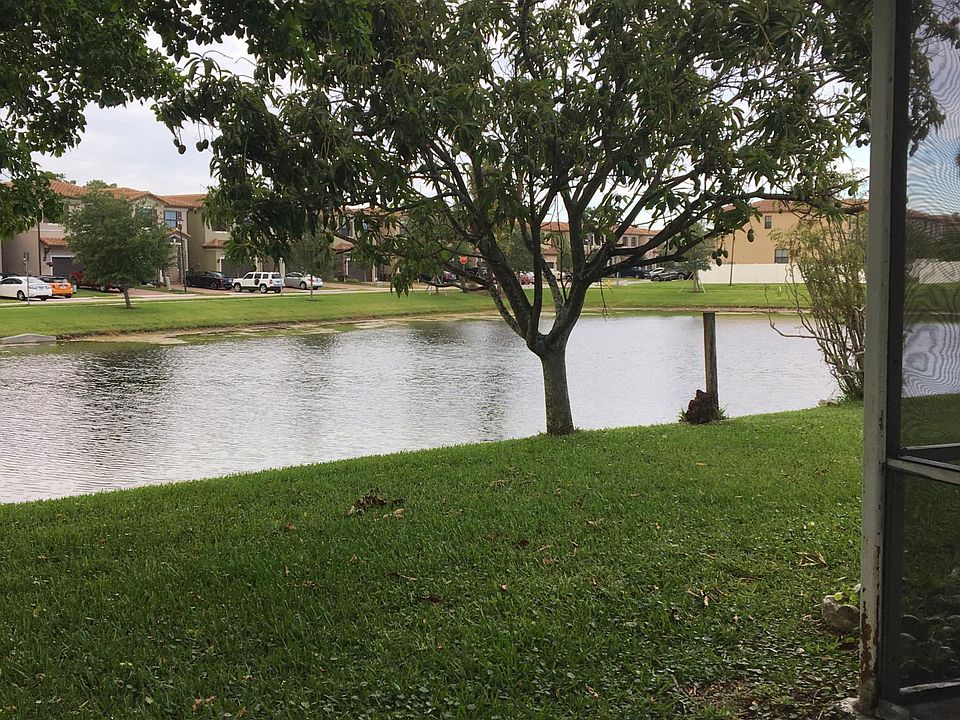 View from rear porch